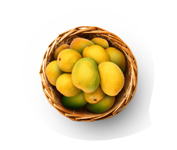 Devratna Mango Orchard